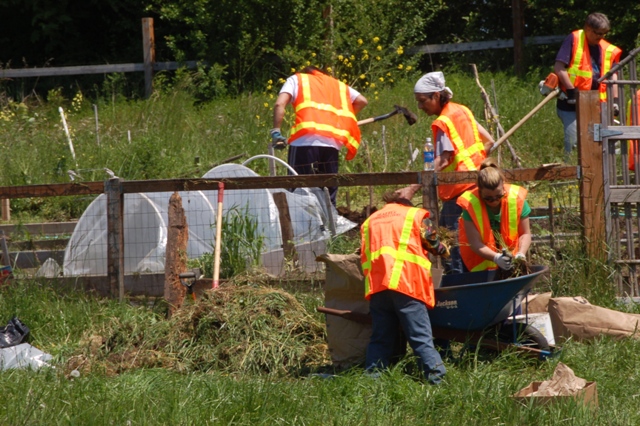 Community Court participants clean up New Holly P-Patch