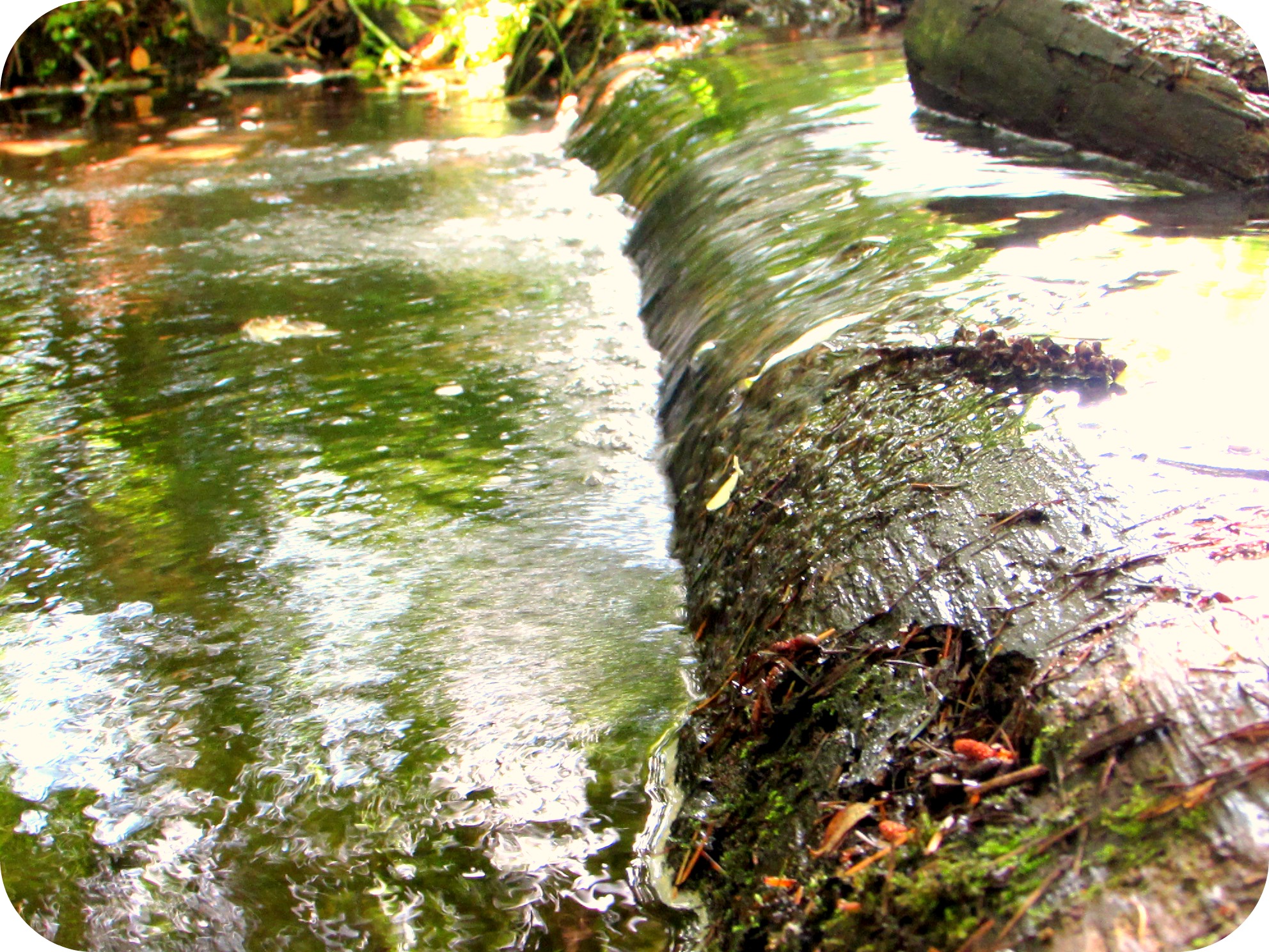 The rushing waters of Hamm Creek