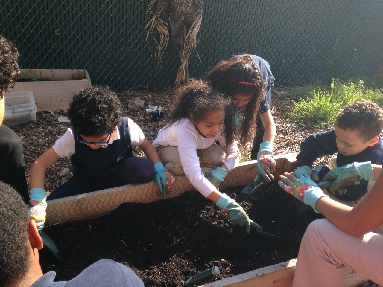 gardening