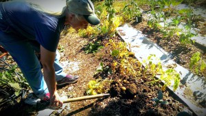 Dorothy-2BDigging