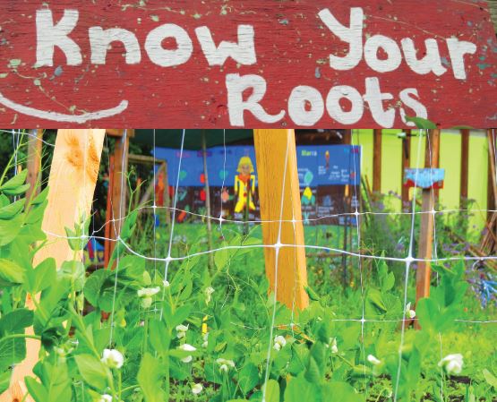 Marra Farm Fall Fest, Saturday, September 22, 2018