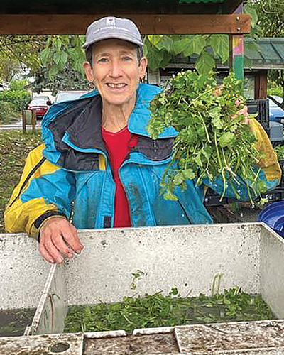 A smiling woman wearing cap and waterproof jacket holds up a bunch of freshly washed cilantro.