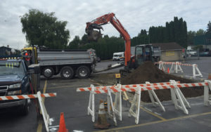 Prepping the site