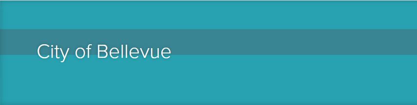 City of Bellevue website masthead