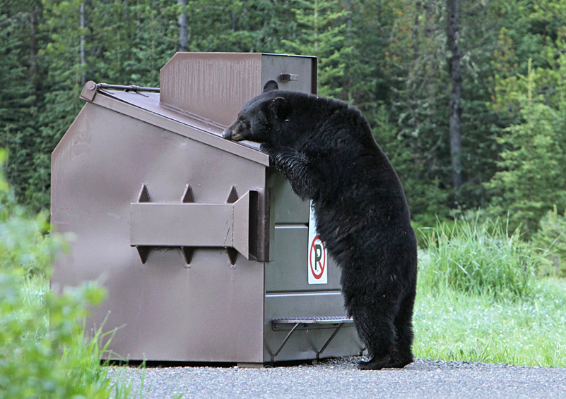dumpster