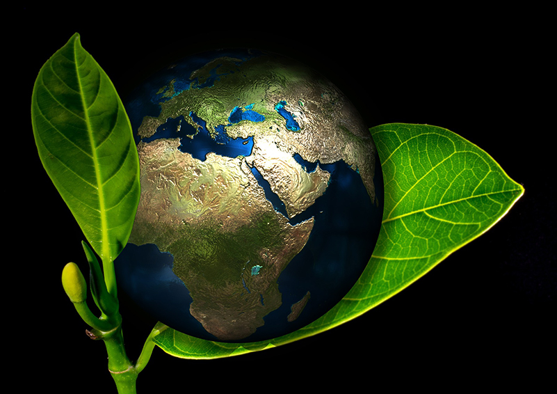 Earth wrapped in green leaves