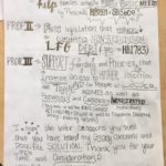 Letter from new voter Bernadette Sheran to her district legislator. (pg. 2)