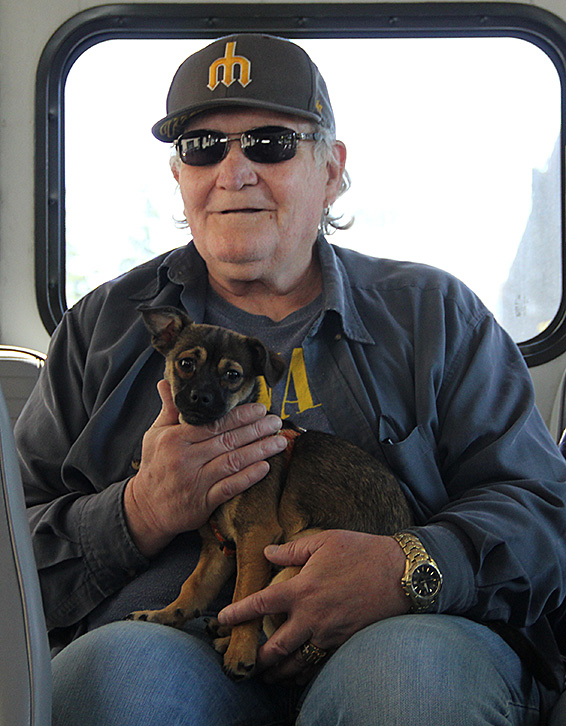 “Regular” Circulator riders Mickey & Thumper (photo by Lara Breitkreutz)