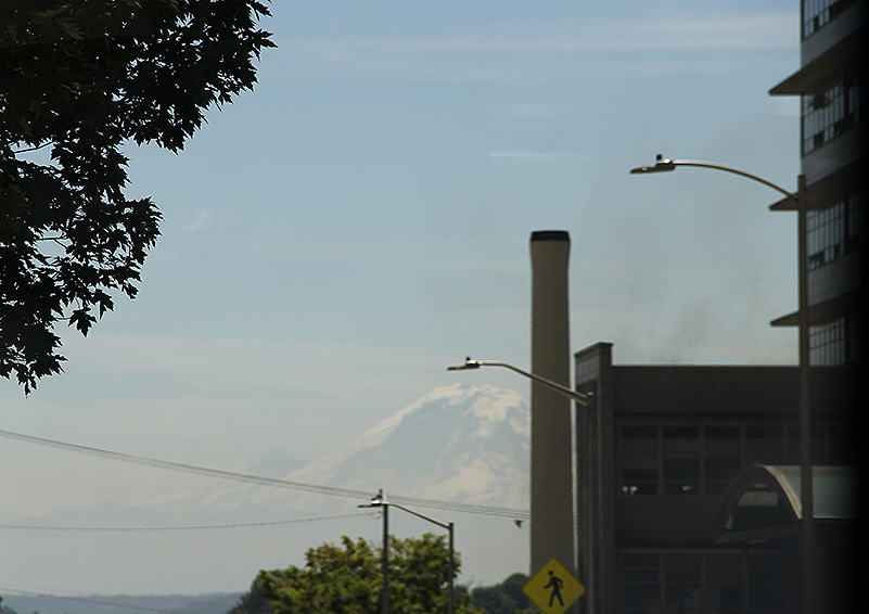 View of Mt. Rainier from Circulator (photo by Lara Breitkreutz)