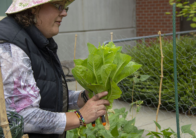 Adrienne admires a fresh head of lettuce.