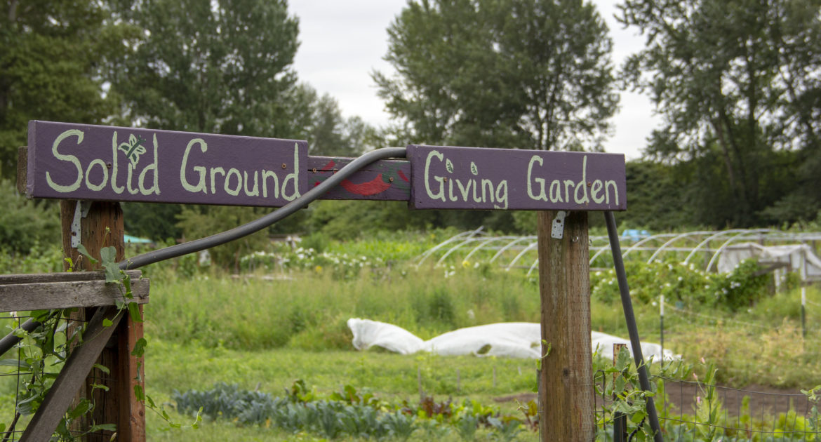 Entrance to the Solid Ground Giving Garden, a community education initiative at Marra Farm.