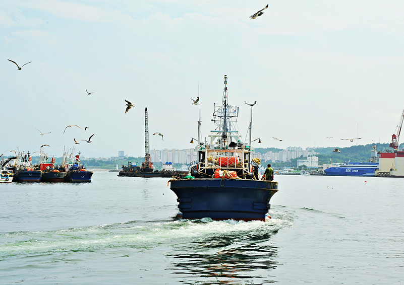 Ships on grey water, seagulls