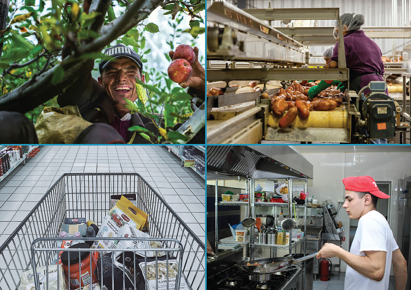 Collage of food worker photos: 1) man picking apples in a tree, 2) woman making sausages in a factory, 3) grocery cart filled with food, 4) man stirfrying food in a restaurant kitchen