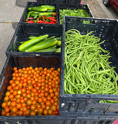 Bins full of veggies