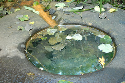 A pool of water trickling out of a stone ring onto mud stained a bright copper red.