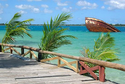 A wood deck and wind-blown palm looking out onto turquoise sea water with the water with the hull of a sunken ship emerging from the surface.