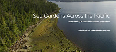 Picture of a Pacific coastline with green coniferous trees and beach on the left and placid water on the right, with white text reading Sea Gardens Across the Pacific: Reawakening Ancestral Mariculture Innovations By the Pacific Sea Garden Collective
