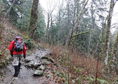 A solitary hiker makes their way up a wet forested path