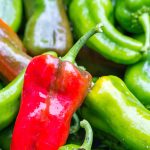 A close up of glistening red and yellow peppers