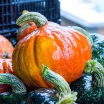 A glistening orange squash on top of other green squashes