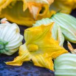 Yellow squash blossoms