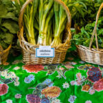 Baskets of green onions and greens.