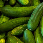Cucumbers
