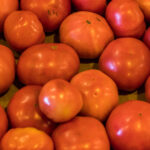 Tomatoes